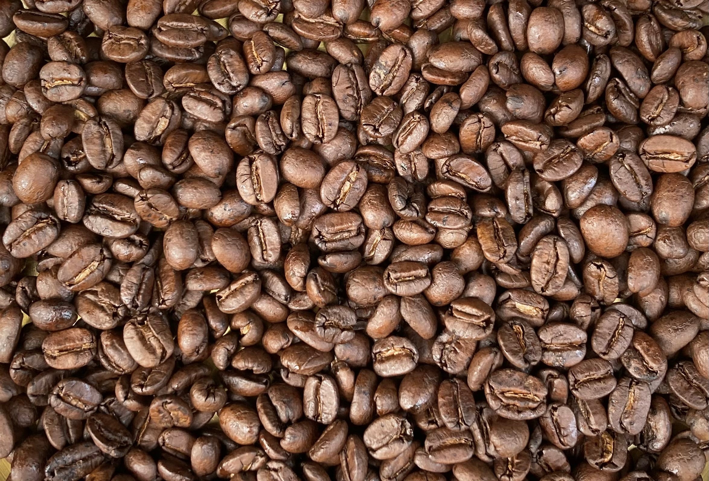 Okinawa Prefecture, harvested in 2024/Medium roast