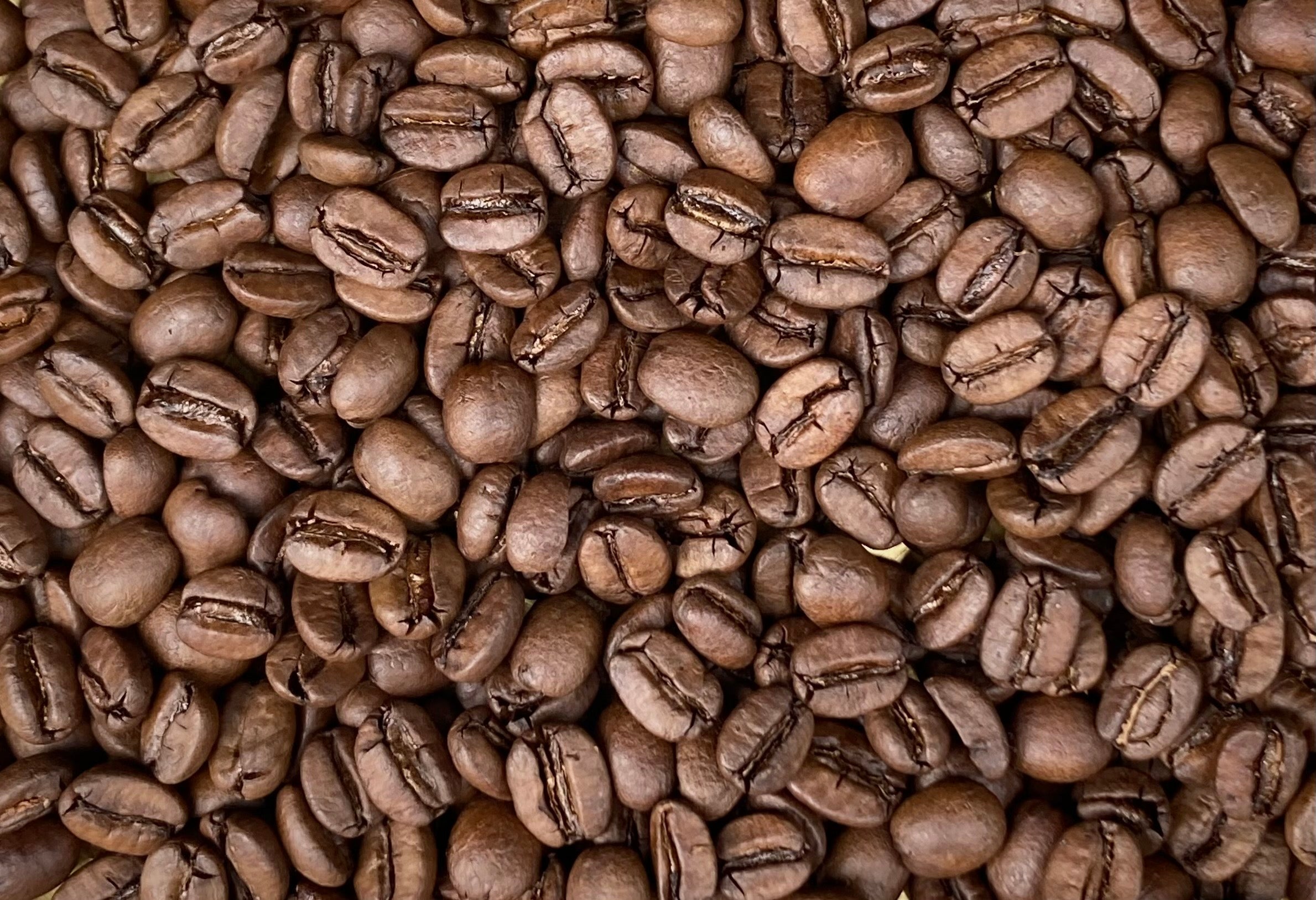 【無農薬】台湾/中煎/50g