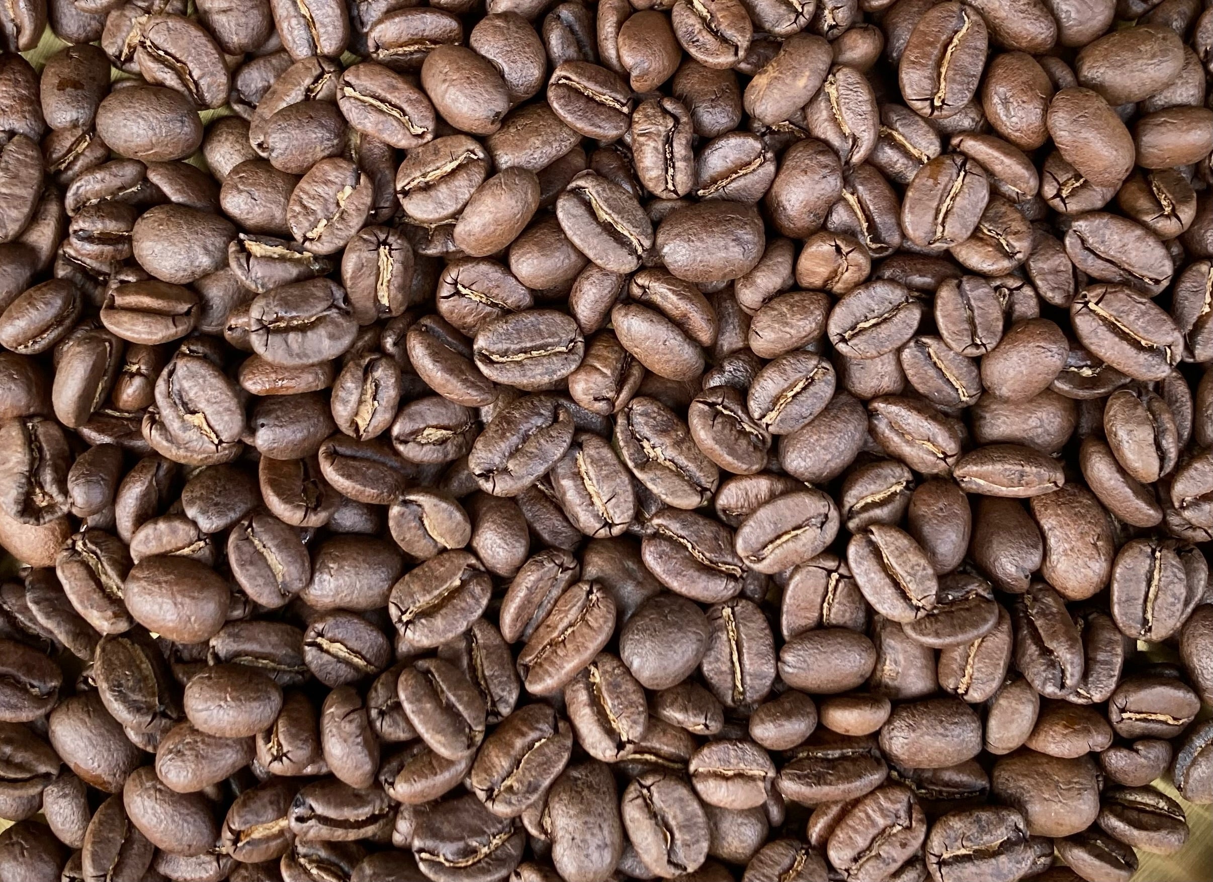 コロンビア/中煎/150g