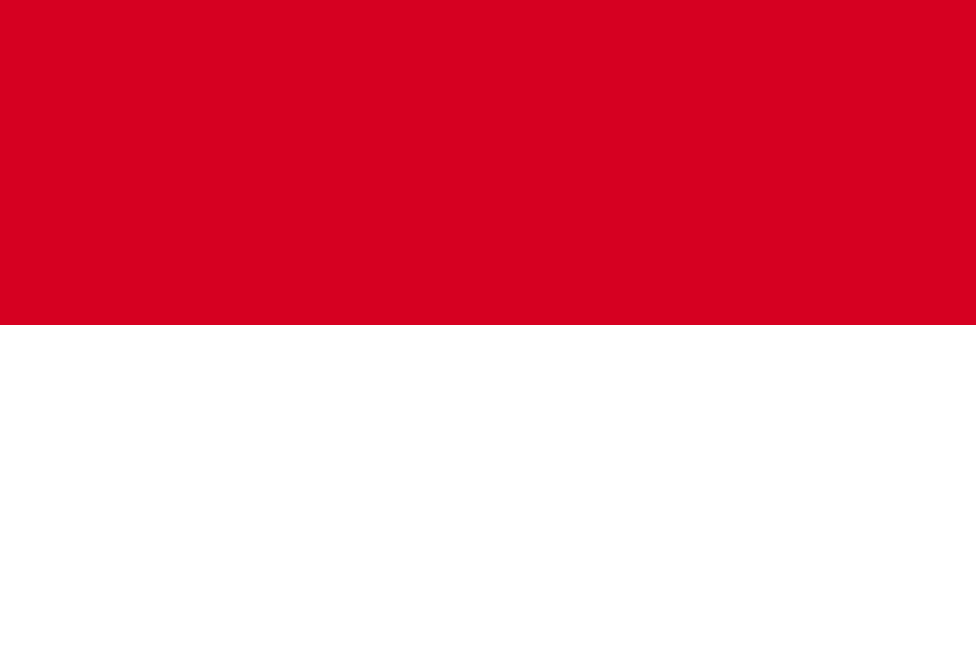 Indonesia / Light roast / 150g
