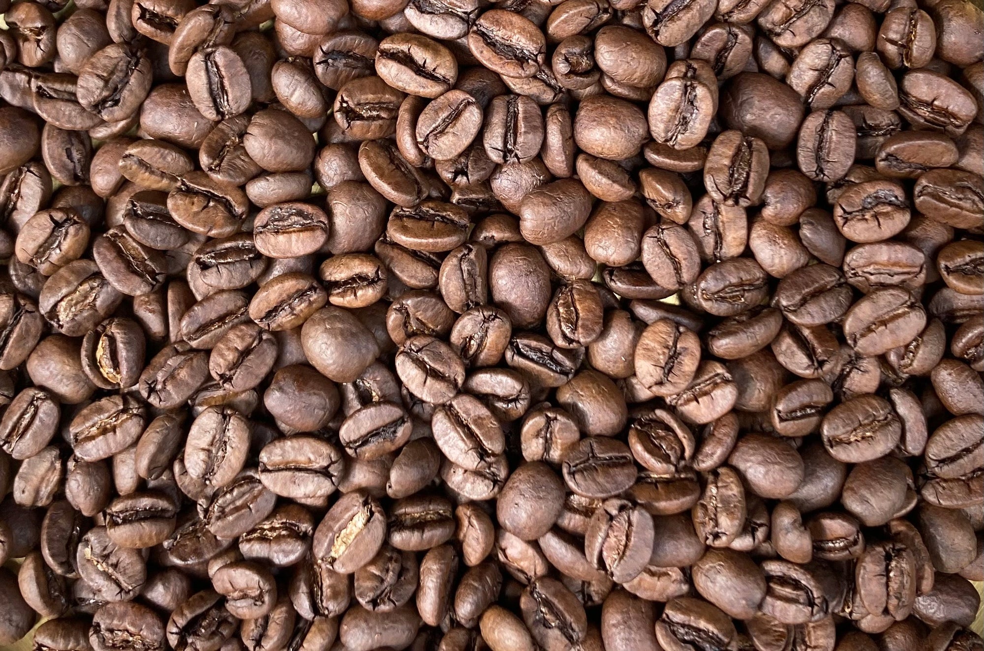 [Organic] Taiwan/Medium roast/100g