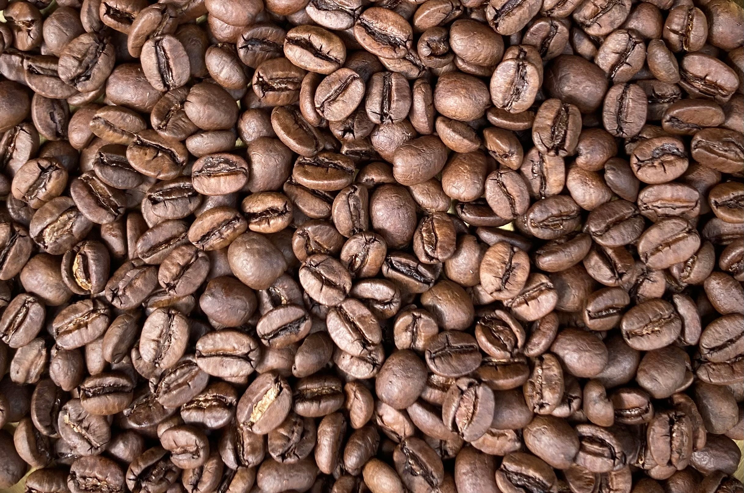 [Organic] Taiwan/Medium roast/100g