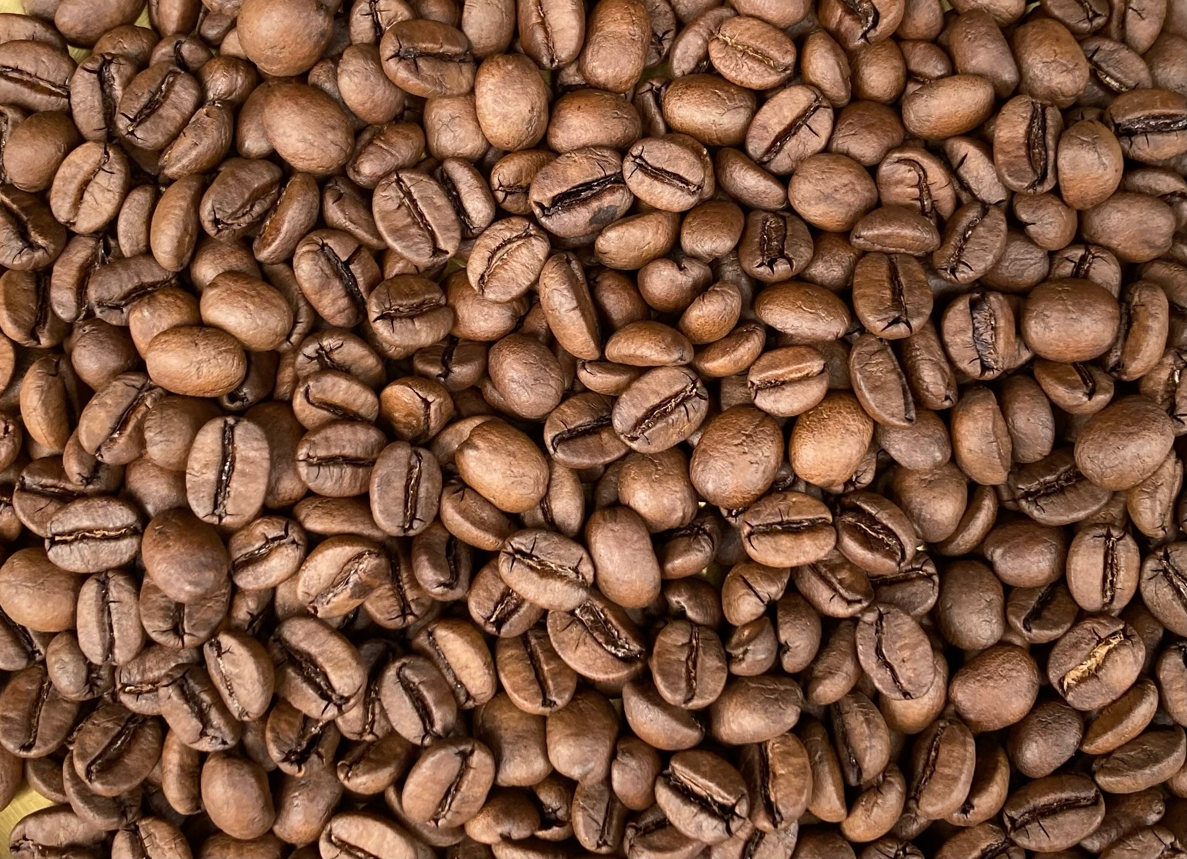 [Organic] Taiwan/Medium roast/50g